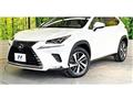 2017 Lexus NX