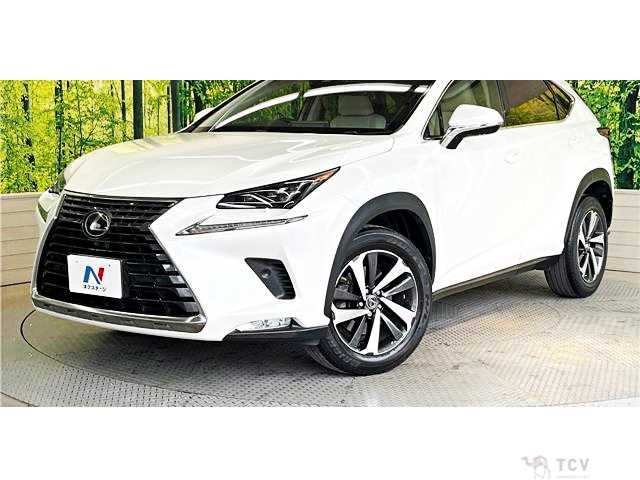 2017 Lexus NX