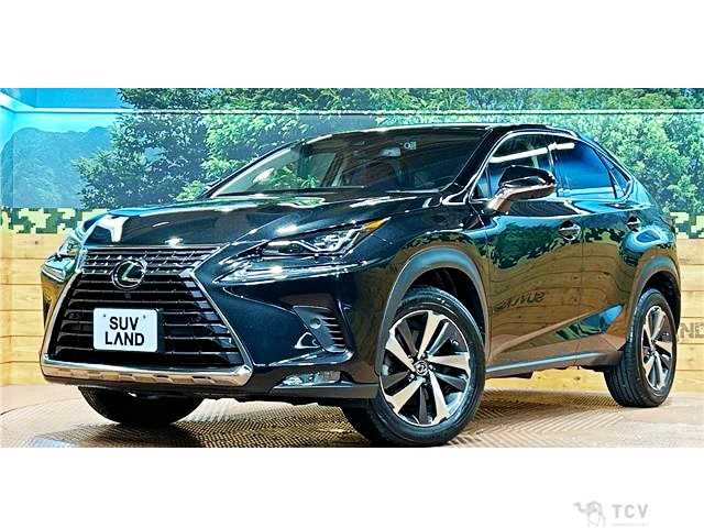 2017 Lexus NX
