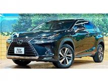 2017 Lexus NX
