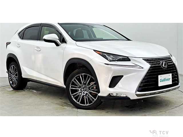 2017 Lexus NX