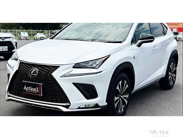 2017 Lexus NX