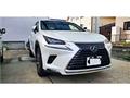 2017 Lexus NX