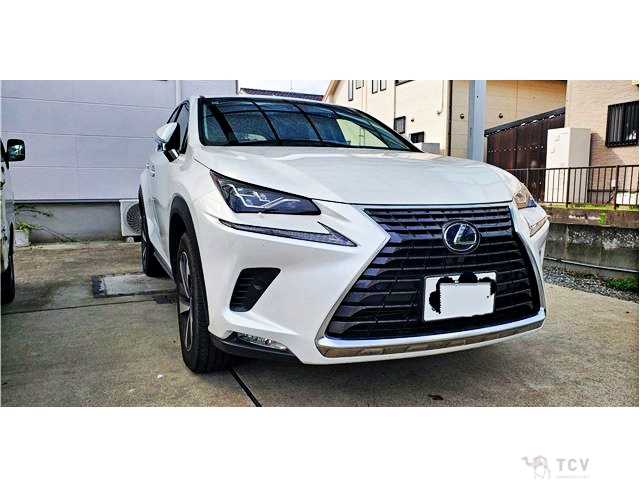 2017 Lexus NX