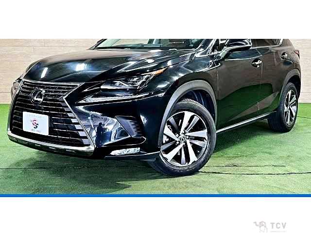 2017 Lexus NX