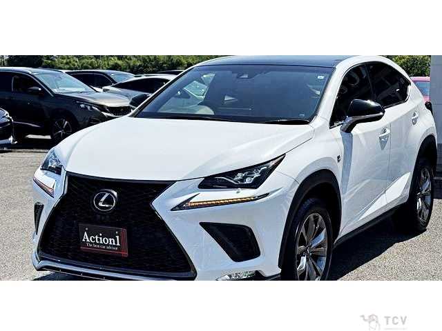 2017 Lexus NX