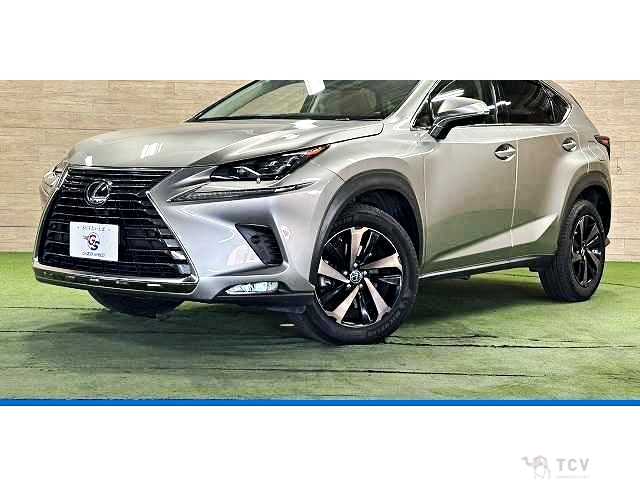 2017 Lexus NX
