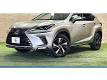 2017 Lexus NX