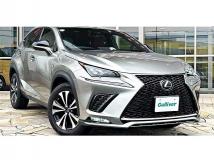 2017 Lexus NX