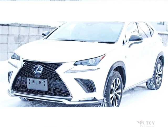2017 Lexus NX