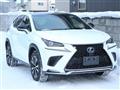 2017 Lexus NX