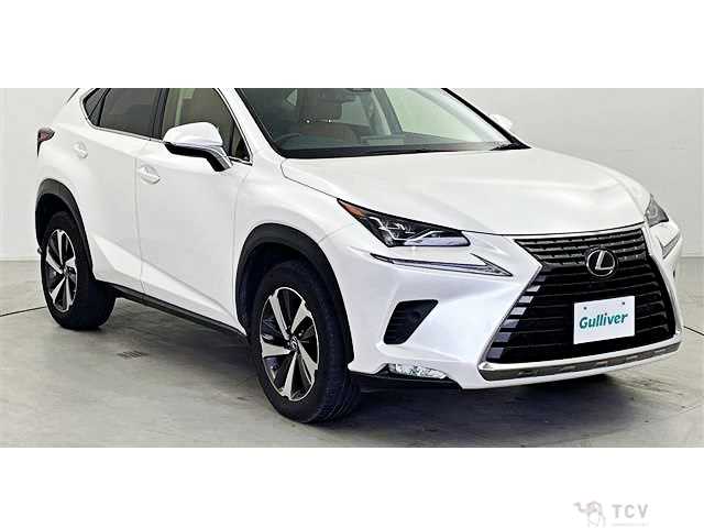 2017 Lexus NX
