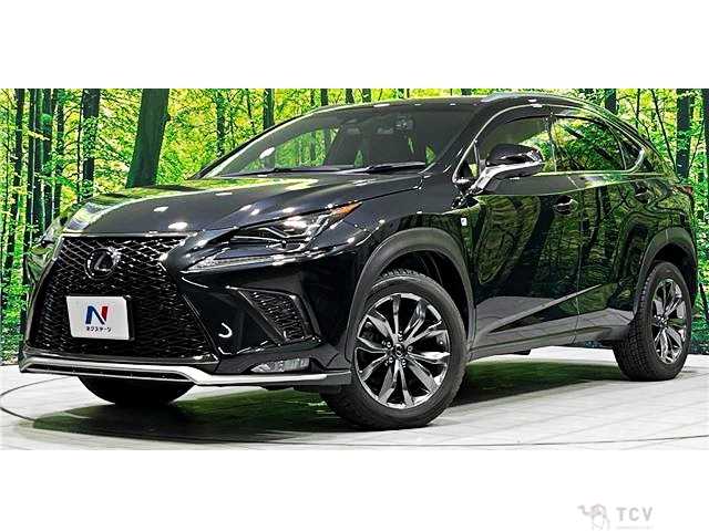 2017 Lexus NX