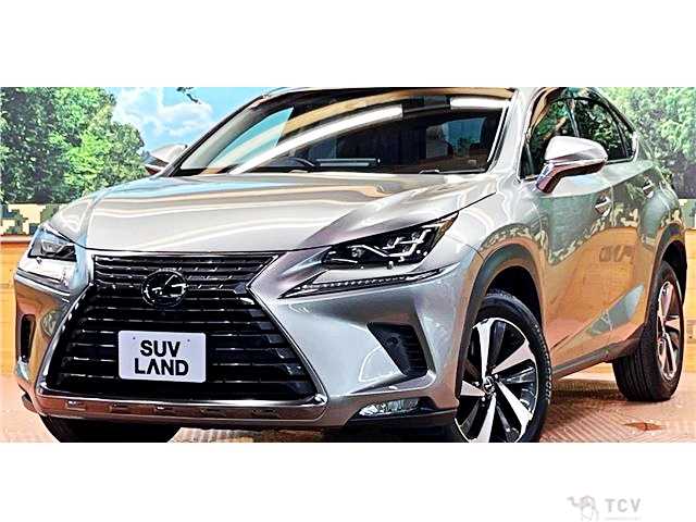 2017 Lexus NX