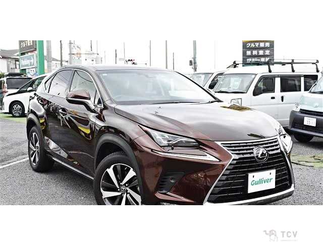 2017 Lexus NX