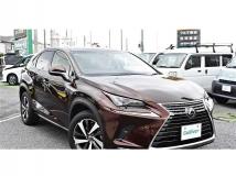 2017 Lexus NX