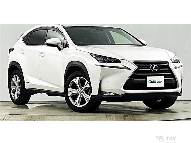 2017 Lexus NX