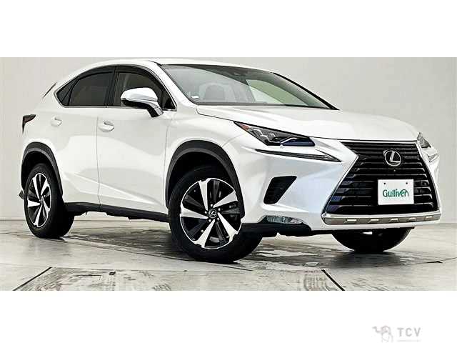 2017 Lexus NX