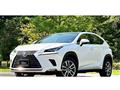 2017 Lexus NX