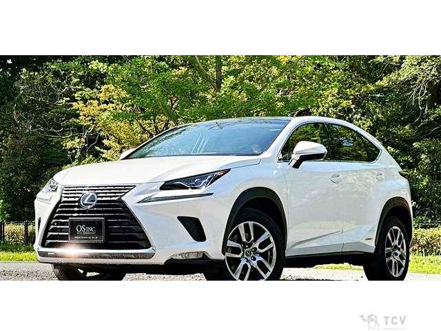 2017 Lexus NX