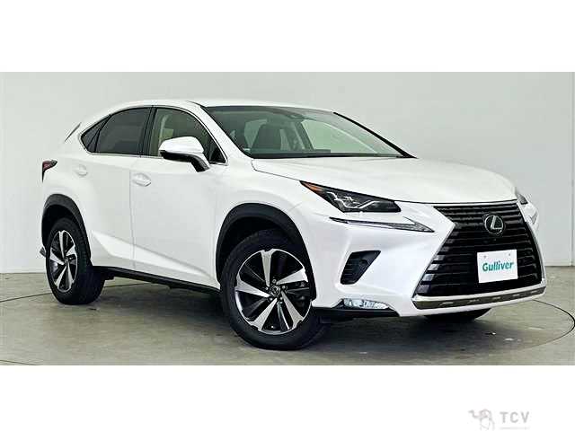 2017 Lexus NX