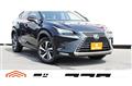 2017 Lexus NX