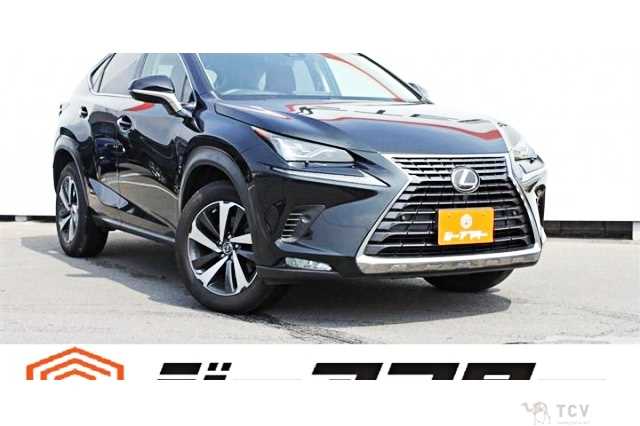2017 Lexus NX
