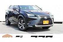 2017 Lexus NX