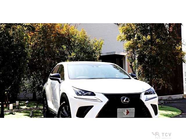 2017 Lexus NX