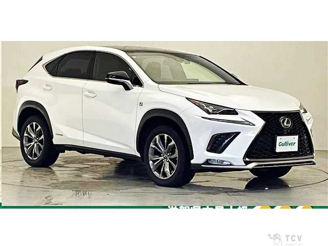 2017 Lexus NX