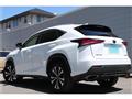 2017 Lexus NX