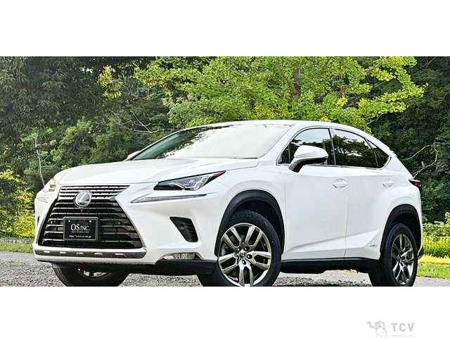 2017 Lexus NX