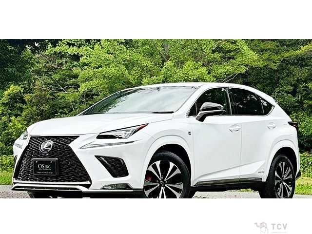 2017 Lexus NX