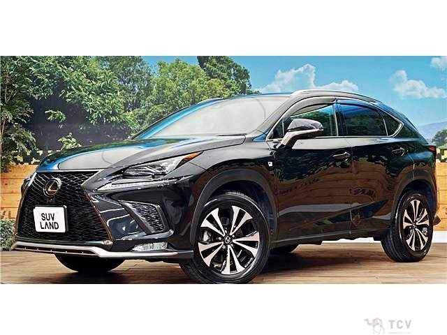 2017 Lexus NX