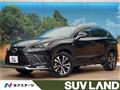 2017 Lexus NX