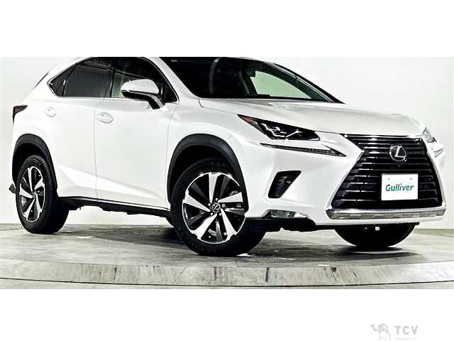 2017 Lexus NX