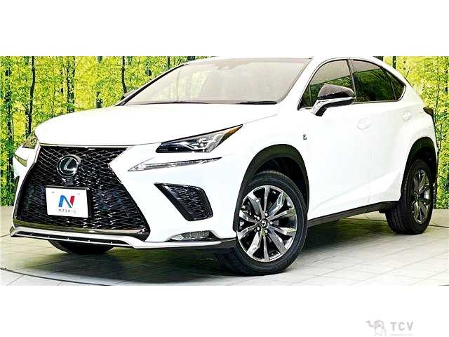 2017 Lexus NX