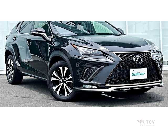 2017 Lexus NX