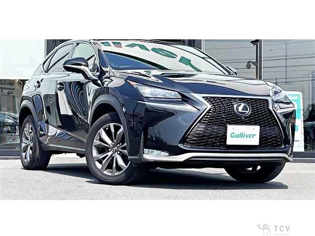 2017 Lexus NX