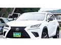 2017 Lexus NX