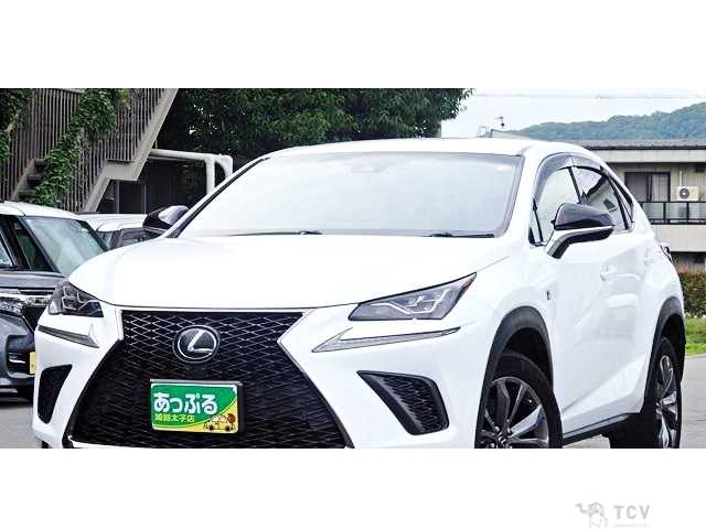 2017 Lexus NX