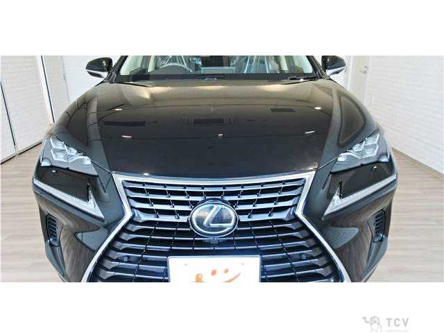2017 Lexus NX