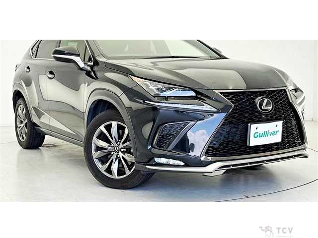 2017 Lexus NX