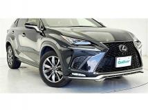 2017 Lexus NX