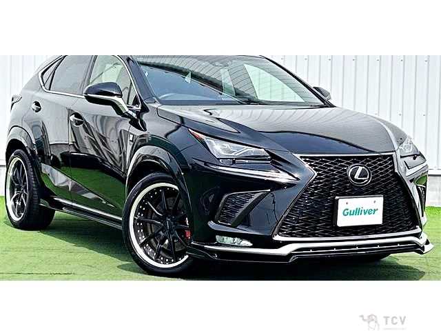 2017 Lexus NX