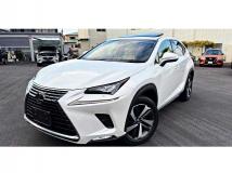 2017 Lexus NX