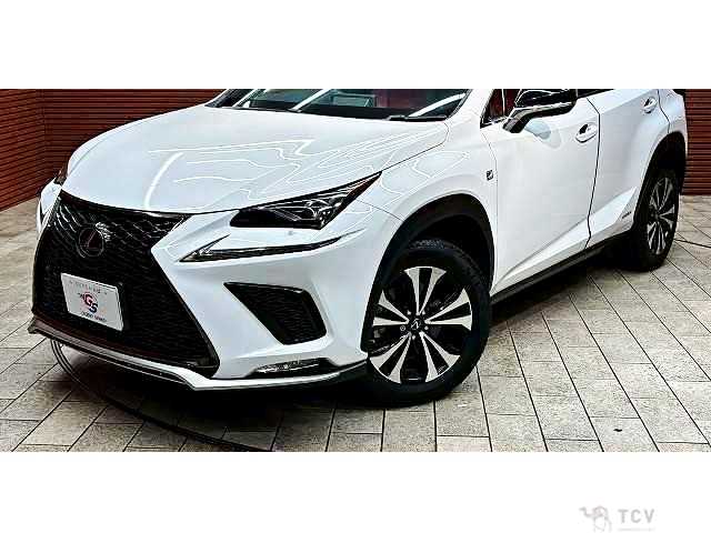 2017 Lexus NX