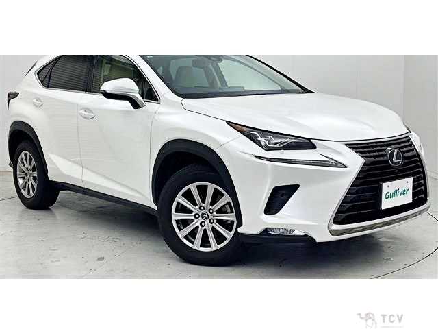 2017 Lexus NX