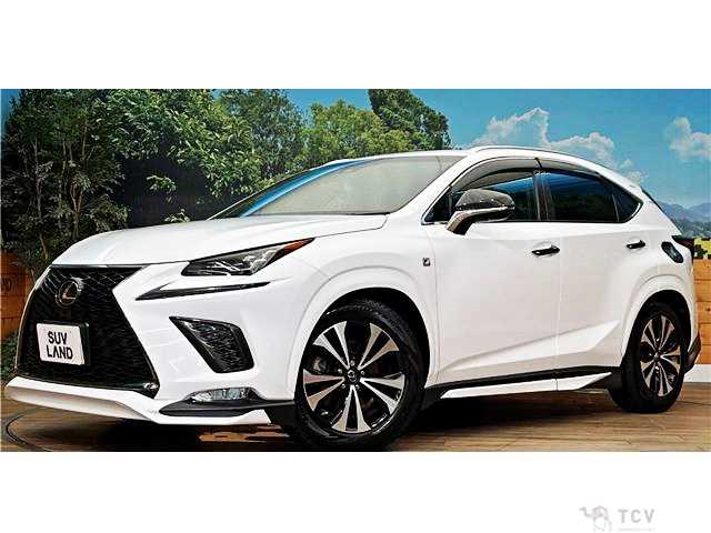 2017 Lexus NX