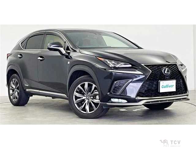 2017 Lexus NX